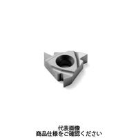 セコ・ツールズ・ジャパン 旋削 ねじ切り用チップ 16ERG60H15 1セット(2個)（直送品）