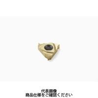 セコ・ツールズ・ジャパン 旋削 ねじ切り用チップ 16NL14NPTCP500 1セット(2個)（直送品）