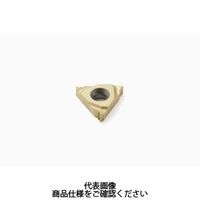 セコ・ツールズ・ジャパン 旋削 ねじ切り用チップ 16NL19WCP500 1セット(2個)（直送品）