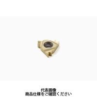 セコ・ツールズ・ジャパン 旋削 ねじ切り用チップ 16NR11BSPTーTTCP500 1セット(2個)（直送品）