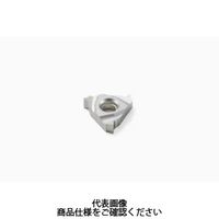 セコ・ツールズ・ジャパン 旋削 ねじ切り用チップ 16NR14WH15 1セット(2個)（直送品）