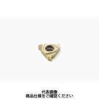 セコ・ツールズ・ジャパン 旋削 ねじ切り用チップ 16NR28WCP500 1セット(2個)（直送品）