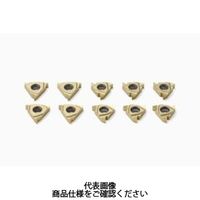 セコ・ツールズ・ジャパン 旋削 ねじ切り用チップ 16V60CP500 1個（直送品）