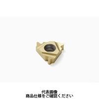 Seco Tools 旋削 ねじ切り用チップ 22NL CP500