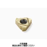 セコ・ツールズ・ジャパン 旋削 ねじ切り用チップ 27ER3.5H906CP500 1セット(2個)（直送品）