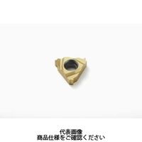 セコ・ツールズ・ジャパン 旋削 ねじ切り用チップ 09NR1.5ISO:CP500 09NR1.5ISOCP500 1セット(2個)（直送品）