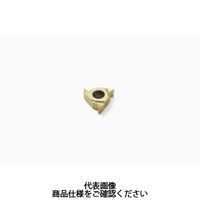 セコ・ツールズ・ジャパン 旋削 ねじ切り用チップ 11NLA55:CP500 11NLA55CP500 1セット(2個)（直送品）