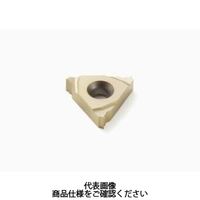 セコ・ツールズ・ジャパン 旋削 ねじ切り用チップ 16EL28UN:CP500 16EL28UNCP500 1セット(2個)（直送品）