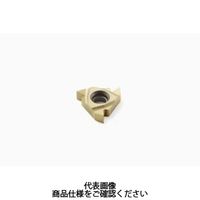 セコ・ツールズ・ジャパン 旋削 ねじ切り用チップ 16ELAG60:CP500 16ELAG60CP500 1セット(2個)（直送品）