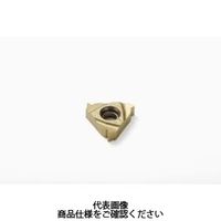 旋削 ねじ切り用チップ 16ER1.25ISOーA:CP500 16ER1.25ISO-ACP500 1セット(2個)（直送品）