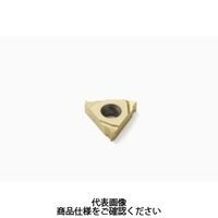 セコ・ツールズ・ジャパン 旋削 ねじ切り用チップ 16ER1.5MJ:CP500 16ER1.5MJCP500 1セット(2個)（直送品）