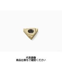 セコ・ツールズ・ジャパン 旋削 ねじ切り用チップ 16ER1.75ISO:CP500 16ER1.75ISOCP500 1セット(2個)（直送品）