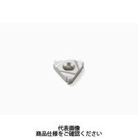 セコ・ツールズ・ジャパン 旋削 ねじ切り用チップ 16ER12UNJ:H15 16ER12UNJH15 1セット(2個)（直送品）