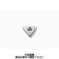 セコ・ツールズ・ジャパン 旋削 ねじ切り用チップ 16ER14W:H15 16ER14WH15 1セット(2個)（直送品）