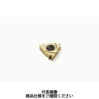 セコ・ツールズ・ジャパン 旋削 ねじ切り用チップ 16ER14WーTT:CP500 16ER14W-TTCP500 1セット(2個)（直送品）