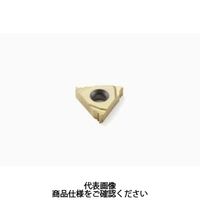 Seco Tools 旋削 ねじ切り用チップ 16ER19W