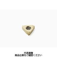 セコ・ツールズ・ジャパン 旋削 ねじ切り用チップ 16ER20UNーA1:CP500 16ER20UN-A1CP500 1セット(2個)（直送品）