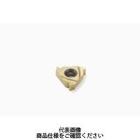 セコ・ツールズ・ジャパン 旋削 ねじ切り用チップ 16ER8APIRD:CP500 16ER8APIRDCP500 1セット(2個)（直送品）