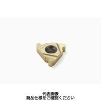 セコ・ツールズ・ジャパン 旋削 ねじ切り用チップ 16ER8STACME:CP500 16ER8STACMECP500 1セット(2個)（直送品）