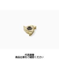 セコ・ツールズ・ジャパン 旋削 ねじ切り用チップ 16ERAG55ーA:CP500 16ERAG55-ACP500 1セット(2個)（直送品）