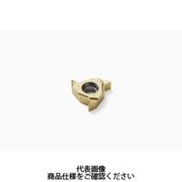 セコ・ツールズ・ジャパン 旋削 ねじ切り用チップ 16ERAG55ーA2:CP500 16ERAG55-A2CP500 1セット(2個)（直送品）