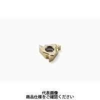 セコ・ツールズ・ジャパン 旋削 ねじ切り用チップ 16ERAG60ーA1:CP500 16ERAG60-A1CP500 1セット(2個)（直送品）