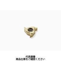 セコ・ツールズ・ジャパン 旋削 ねじ切り用チップ 16ERG55ーA1:CP500 16ERG55-A1CP500 1セット(2個)（直送品）