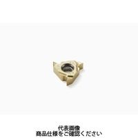 セコ・ツールズ・ジャパン 旋削 ねじ切り用チップ 16ERG60ーA2:CP500 16ERG60-A2CP500 1セット(2個)（直送品）