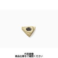 セコ・ツールズ・ジャパン 旋削 ねじ切り用チップ 16NL1.25ISO:CP500 16NL1.25ISOCP500 1セット(2個)（直送品）