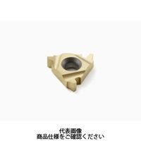 セコ・ツールズ・ジャパン 旋削 ねじ切り用チップ 16NR2.0TR:CP500 16NR2.0TRCP500 1セット(2個)（直送品）