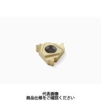 セコ・ツールズ・ジャパン 旋削 ねじ切り用チップ 16NR6RD:CP500 16NR6RDCP500 1セット(2個)（直送品）