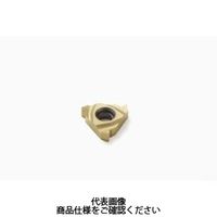 セコ・ツールズ・ジャパン 旋削 ねじ切り用チップ 16NR8APIRD:CP500 16NR8APIRDCP500 1セット(2個)（直送品）