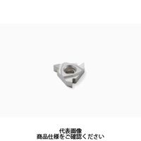 セコ・ツールズ・ジャパン 旋削 ねじ切り用チップ 16NRA60:H15 16NRA60H15 1セット(2個)（直送品）