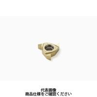 セコ・ツールズ・ジャパン 旋削 ねじ切り用チップ 16NRG55 CP500