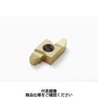 セコ・ツールズ・ジャパン 旋削 ねじ切り用チップ 20NR3STACME:CP500 20NR3STACMECP500 1セット(2個)（直送品）