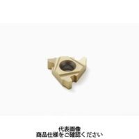 セコ・ツールズ・ジャパン 旋削 ねじ切り用チップ 22EL5ACME:CP500 22EL5ACMECP500 1セット(2個)（直送品）