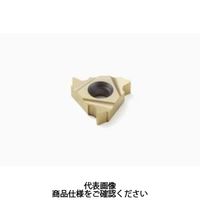 セコ・ツールズ・ジャパン 旋削 ねじ切り用チップ 22ER3.5ISO:CP300 22ER3.5ISOCP300 1セット(2個)（直送品）