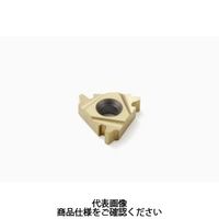 Seco Tools 旋削 ねじ切り用チップ 22ER5.0TR