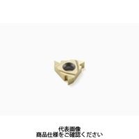 セコ・ツールズ・ジャパン 旋削 ねじ切り用チップ 22ERN55:CP500 22ERN55CP500 1セット(2個)（直送品）