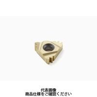 セコ・ツールズ・ジャパン 旋削 ねじ切り用チップ 22NR11W2M:CP500 22NR11W2MCP500 1セット(2個)（直送品）