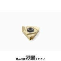 セコ・ツールズ・ジャパン 旋削 ねじ切り用チップ 22NR2.0ISO3M:CP500 22NR2.0ISO3MCP500 1セット(2個)（直送品）