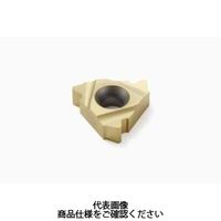 Seco Tools 旋削 ねじ切り用チップ 22NR4API386