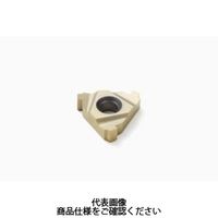 セコ・ツールズ・ジャパン 旋削 ねじ切り用チップ 22NR5BUT2.6:CP500 22NR5BUT2.6CP500 1セット(2個)（直送品）