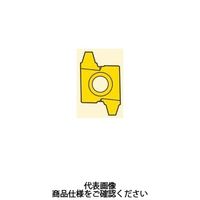 セコ・ツールズ・ジャパン 旋削 ねじ切り用チップ 26ER2STACME:CP500 26ER2STACMECP500 1セット(2個)（直送品）