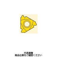 セコ・ツールズ・ジャパン 旋削 ねじ切り用チップ 27ER4API384:CP500 27ER4API384CP500 1セット(2個)（直送品）