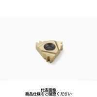 セコ・ツールズ・ジャパン 旋削 ねじ切り用チップ 27ER8APIRD2M:CP300 27ER8APIRD2MCP300 1セット(2個)（直送品）