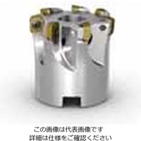 セコ・ツールズ・ジャパン 交換部品 C02506ーT08P 1個（直送品）