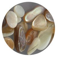 SHAREYDVA ネイルパーツ ナチュラルシェル 20P ナチュラル 85325 1個（直送品）