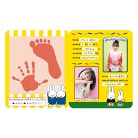 パイロット 手がた記録 成長記録 miffy 1801112 1個