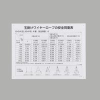 トラスコ中山 TRUSCO Wスリング Aタイプ 18mmX6m GR-18S6 1本 353-9784